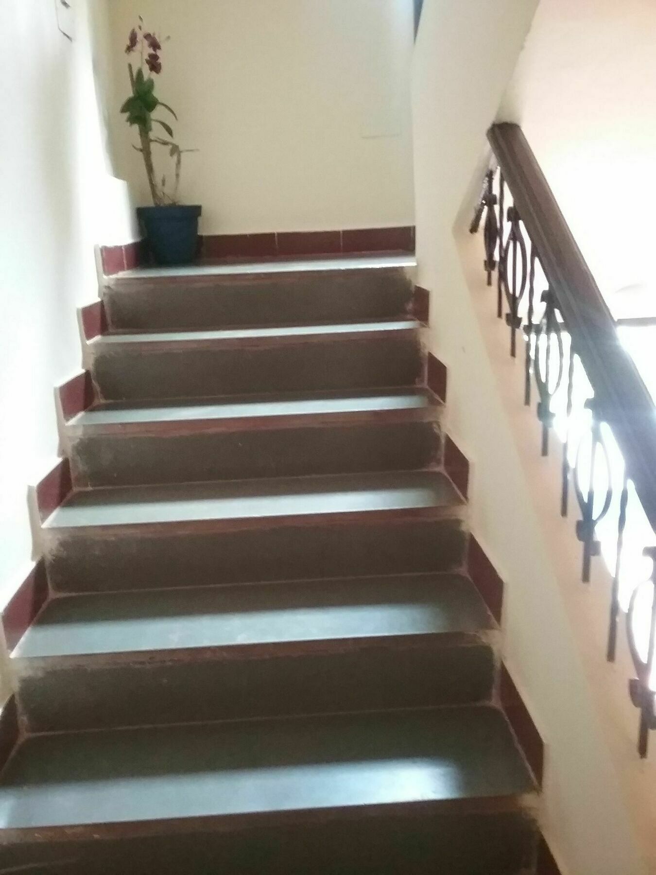 Baga
